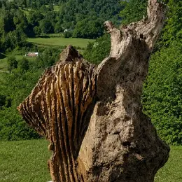 Exposition ouvrages du vivant