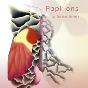 Exposition : Papillons