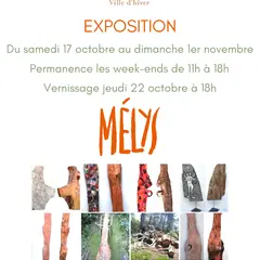 Exposition par Mélys - M' La Ville d'Hiver