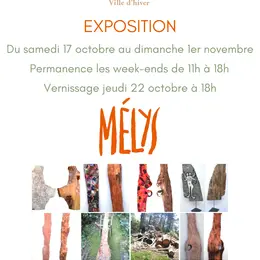 Exposition par Mélys - M' La Ville d'Hiver