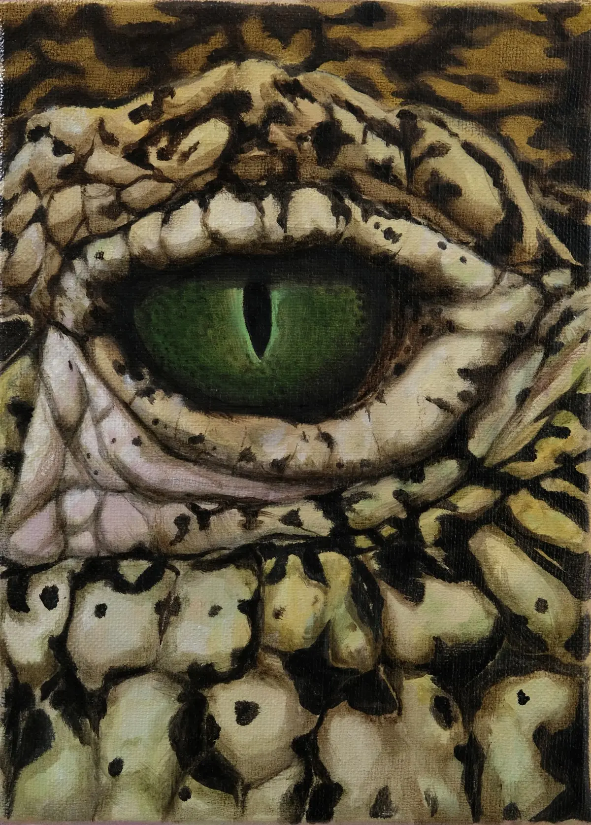 Exposition PARCC : Contacts de Romain Bernini