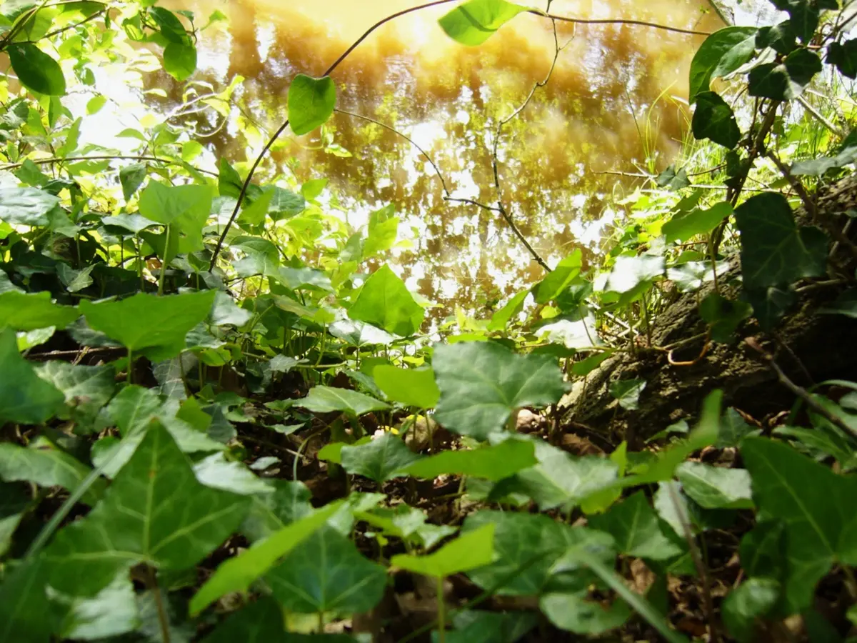 Exposition PARCC : Miradas al suelo, salle de projection vidéo