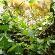 Exposition PARCC : Miradas al suelo, salle de projection vidéo