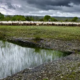 Exposition ParcourS - Concert : Le souffle du berger
