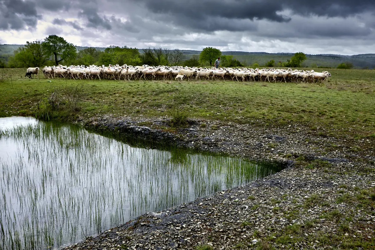 Exposition ParcourS -  Conférence : pastoralisme et architecture