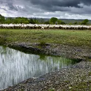 Exposition ParcourS, un regard sur le paysage