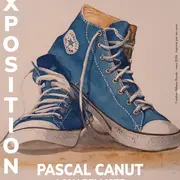 Exposition - Pascal Canut