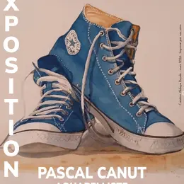 Exposition - Pascal Canut