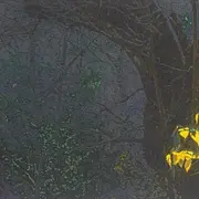 Exposition - Patrick Kuhn Le réel etcetera