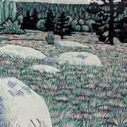 Exposition PAVEL MACEK