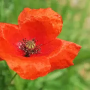 Exposition Paysages Et Biodiversite