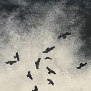 Exposition : Peintures - Nathalie Magrou