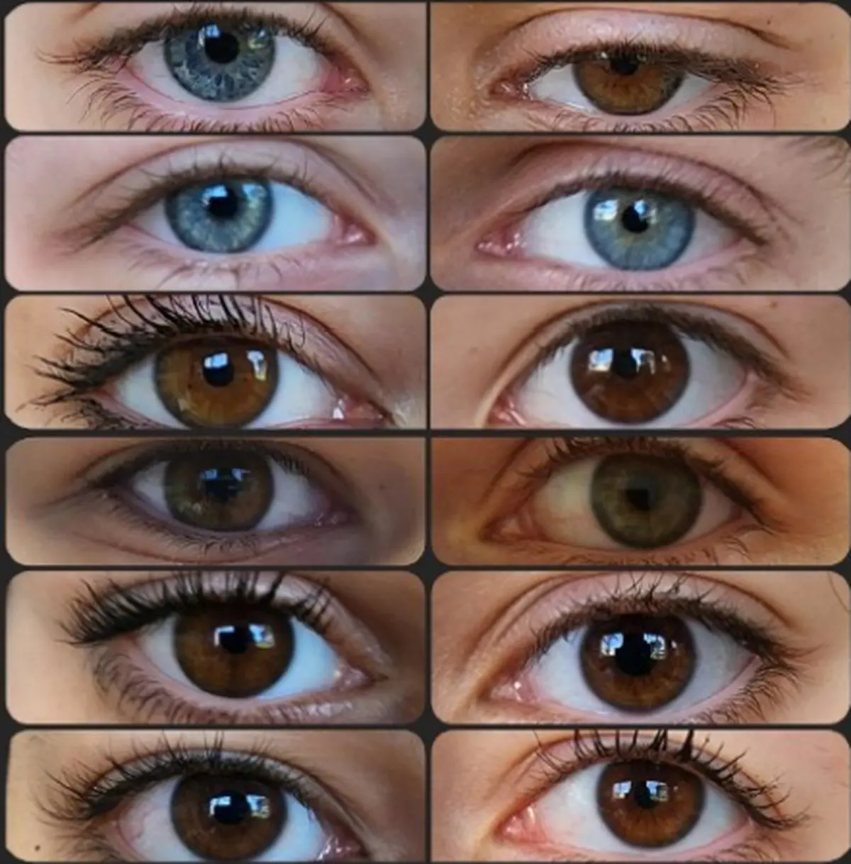 Exposition Perceptions