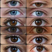 Exposition Perceptions