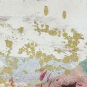 Exposition, périphérie à la galerie Felgines