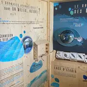 Exposition permanente Les interactions du vivant, de l’homme et de la nature