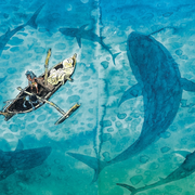 Exposition : Petit Bonhomme par Grégory Panaccione et Alexis Bacci