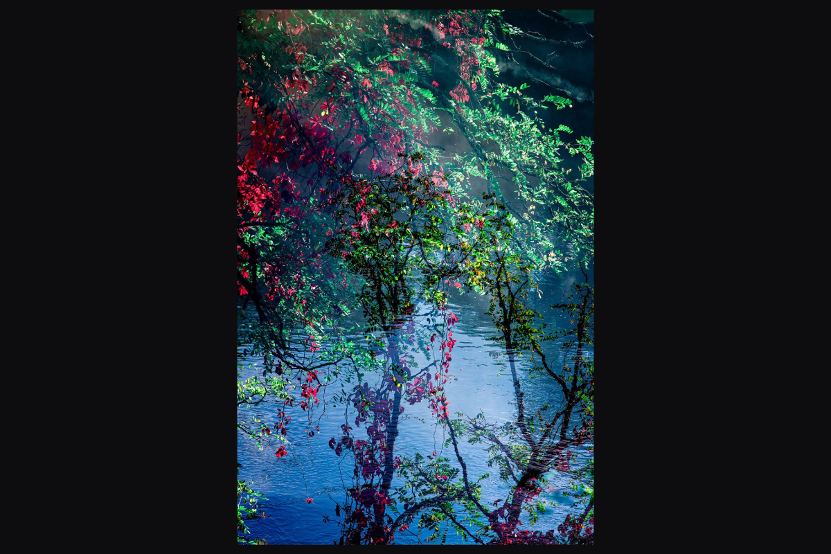 Exposition | Philippe GILLOTTE - Photographie
