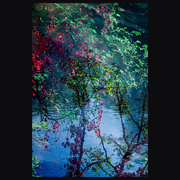 Exposition | Philippe GILLOTTE - Photographie