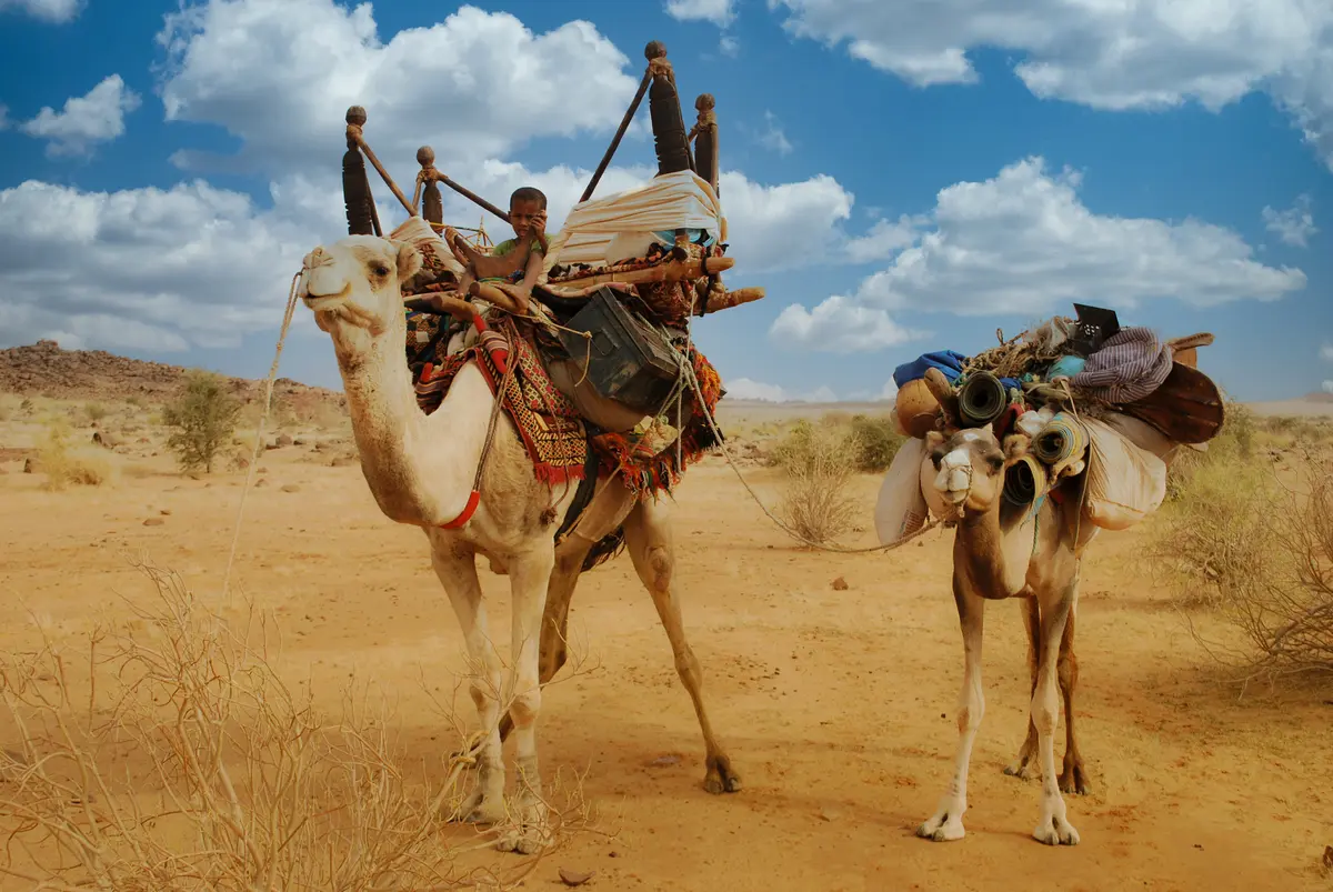Exposition photo Afrique Insolite