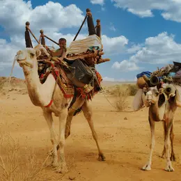 Exposition photo Afrique Insolite