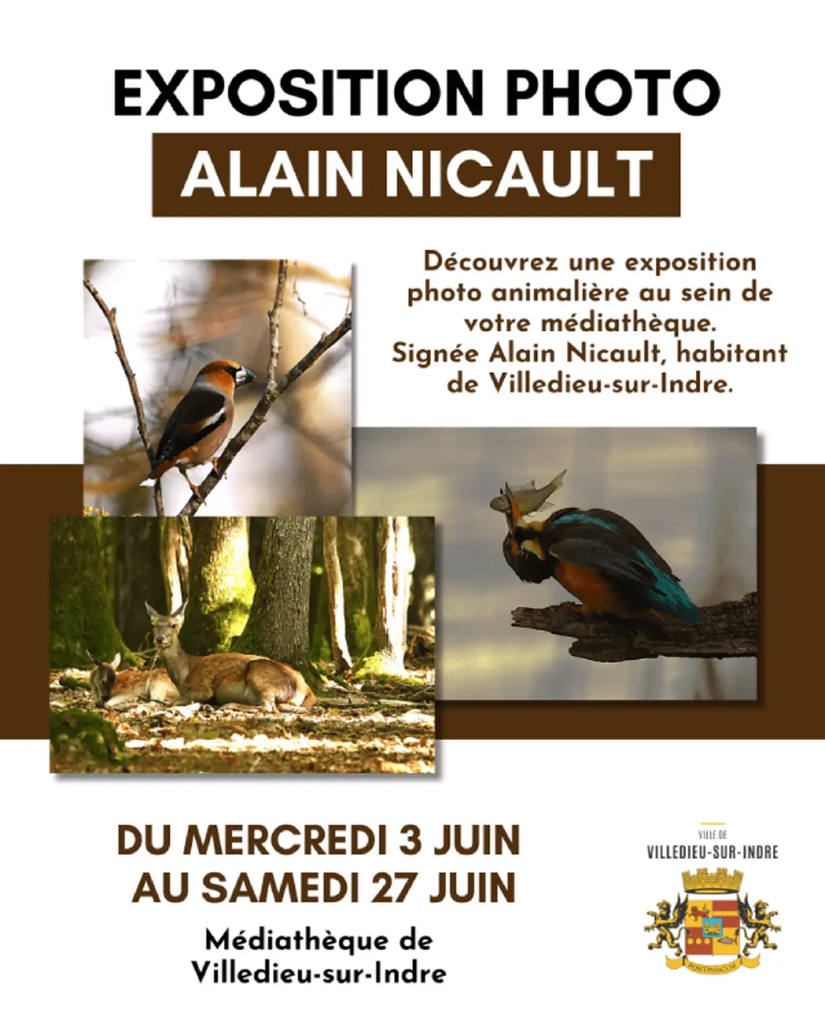 Exposition photo animalière