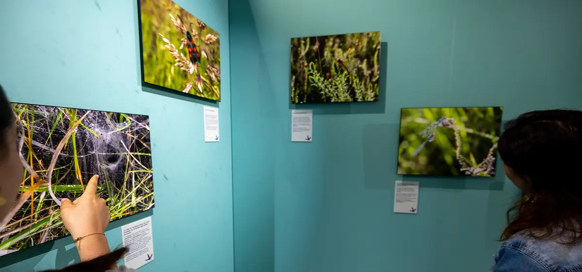 Exposition photo Arjuzanx, d'une mine de lignite à une réserve naturelle nationale