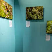Exposition photo Arjuzanx, d'une mine de lignite à une réserve naturelle nationale
