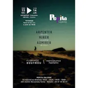Exposition photo Arpenter Mirer Admirer