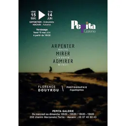 Exposition photo Arpenter Mirer Admirer