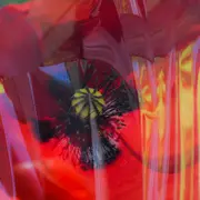 Exposition Photo : Christian Remember