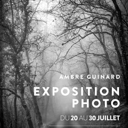 Exposition photo de Ambre Guinard