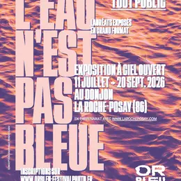 Exposition photo « L’eau n’est pas bleue »