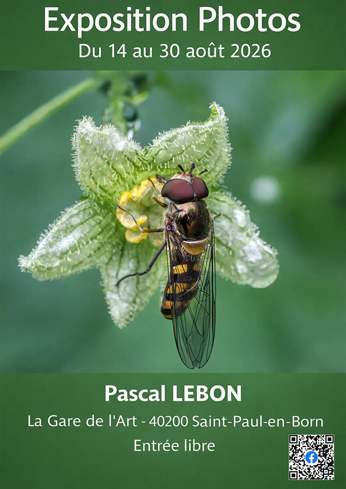 Exposition Photo Pascal Lebon