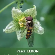 Exposition Photo Pascal Lebon