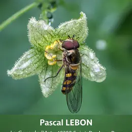 Exposition Photo Pascal Lebon