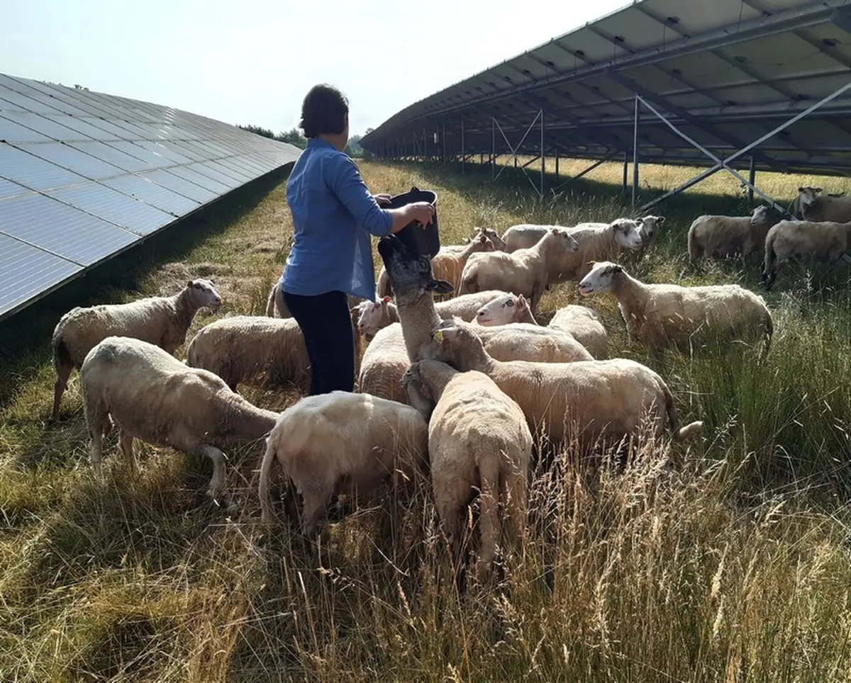Exposition photo « Paysage rural ruscadien en danger »