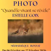 Exposition Photo Quand le vivant se révèle Estelle Goix