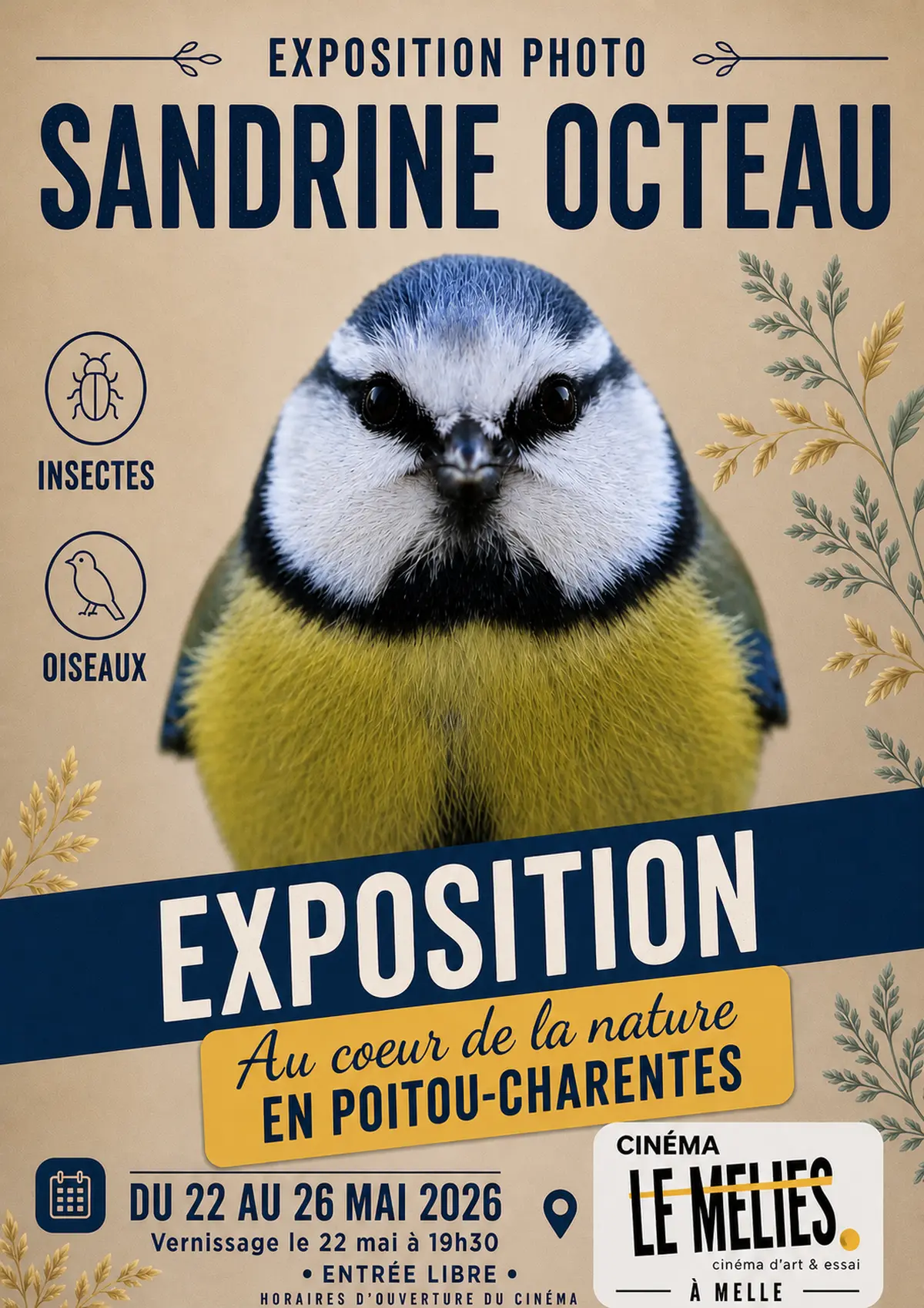 Exposition photo Sandrine Octeau