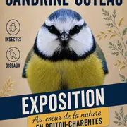 Exposition photo Sandrine Octeau