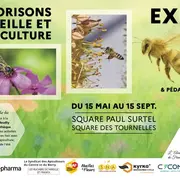 Exposition photo sur les abeilles et l'apiculture