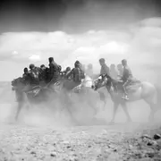 Exposition photographie : Maxime Crozet