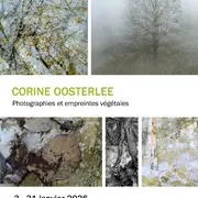 Exposition : Photographie par Corine Oosterlee