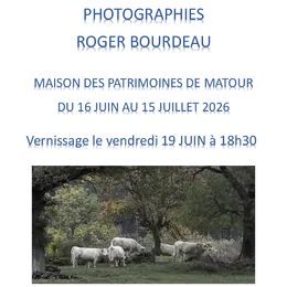 Exposition photographies : Arbres et paysages en Charolais Brionnais