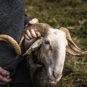 Exposition : Photographies d'Adrien Basse