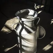 Exposition : Photographies d'Adrien Basse