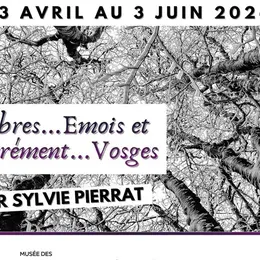 Exposition photographique - Arbres...Emois et Carrément...Vosges