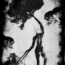 Exposition photographique - Daniel Nassoy