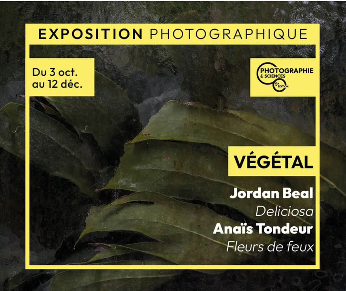 Exposition photographique de La Villa Pérochon à Niort