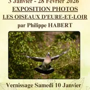 Exposition photographique - Les oiseaux d'Eure-et-Loir